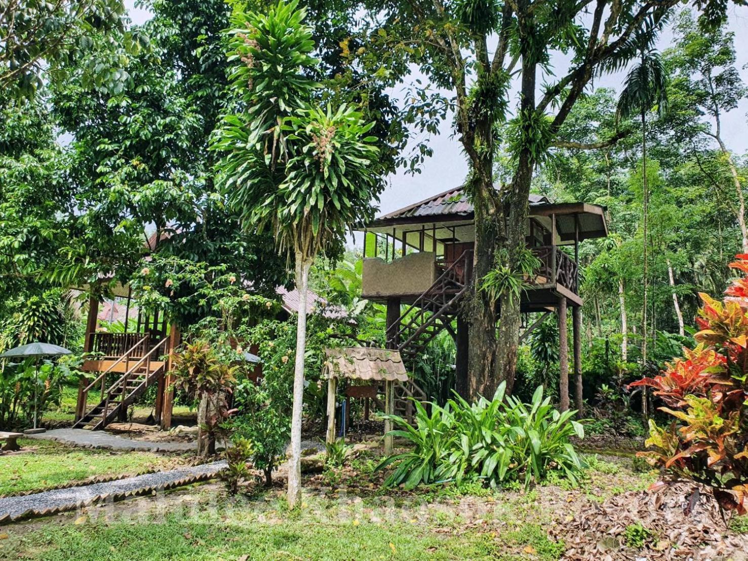 Malulee Khaosok Resort Khao Sok National Park Zewnętrze zdjęcie